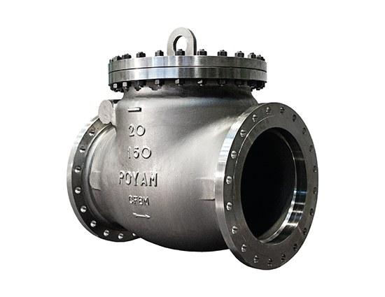 Check valve